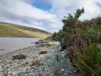 Glenveagh Nationalpark &ndash; &copy; Sinah Witzig (Eberhardt TRAVEL)