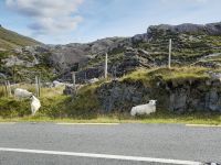 Ring of Kerry &ndash; &copy; Sinah Witzig (Eberhardt TRAVEL)