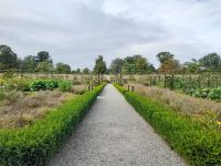 Phoenix Park &ndash; &copy; Sinah Witzig (Eberhardt TRAVEL)