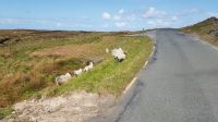 Wild Atlantic Way &ndash; &copy; Constanze Maißel (Eberhardt TRAVEL)
