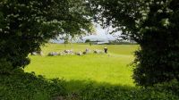 Carrowmore &ndash; &copy; Constanze Maißel (Eberhardt TRAVEL)