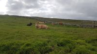 Mullaghmore Head &ndash; &copy; Constanze Maißel (Eberhardt TRAVEL)