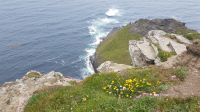 Cliffs of Moher &ndash; &copy; Constanze Maißel (Eberhardt TRAVEL)