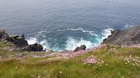 Dingle