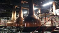 Midleton Distillery &ndash; &copy; Constanze Maißel (Eberhardt TRAVEL)