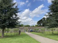 1. Reisetag – Stadtrundfahrt in Dublin – Viktorianischer Küchengarten im Phoenix Park &ndash; &copy; Andreas Wolfsteller (Eberhardt TRAVEL)
