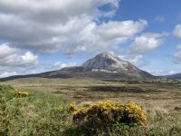 3. Reisetag – Fotostopp am Mount Errigal &ndash; &copy; Andreas Wolfsteller (Eberhardt TRAVEL)
