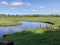 9. Reisetag – Spaziergang im Coole Park &ndash; &copy; Andreas Wolfsteller (Eberhardt TRAVEL)