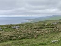 8. Reisetag – Wanderung im Burren vom Ballinalacken Castle nach Fanore &ndash; &copy; Andreas Wolfsteller (Eberhardt TRAVEL)