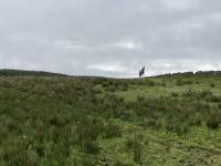 8. Reisetag – Wanderung im Burren vom Ballinalacken Castle nach Fanore &ndash; &copy; Andreas Wolfsteller (Eberhardt TRAVEL)