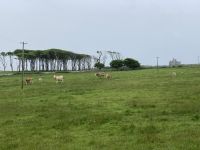 5. Reisetag – Wanderung um die Halbinsel Mullaghmore – Classiebawn Castle &ndash; &copy; Andreas Wolfsteller (Eberhardt TRAVEL)
