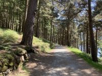 12. Reisetag – Wanderung in Glendalough &ndash; &copy; Andreas Wolfsteller (Eberhardt TRAVEL)