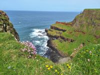 Giants Causeway &ndash; &copy; Sinah Witzig (Eberhardt TRAVEL)