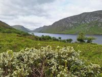 Glenveagh Nationalpark &ndash; &copy; Sinah Witzig (Eberhardt TRAVEL)