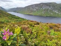 Glenveagh Nationalpark &ndash; &copy; Sinah Witzig (Eberhardt TRAVEL)