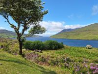 Killary Harbour &ndash; &copy; Sinah Witzig (Eberhardt TRAVEL)
