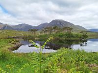 Connemara &ndash; &copy; Sinah Witzig (Eberhardt TRAVEL)