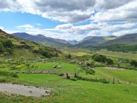 Kissane Sheep Farm &ndash; &copy; Sinah Witzig (Eberhardt TRAVEL)