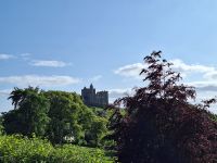 Rock of Cashel &ndash; &copy; Sinah Witzig (Eberhardt TRAVEL)