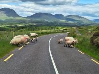 Ring of Kerry &ndash; &copy; Sinah Witzig (Eberhardt TRAVEL)