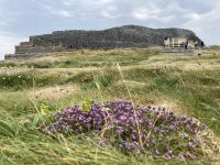 6. Reisetag – Wandern auf den Aran Islands – Steinfort Dun Aengus &ndash; &copy; Andreas Wolfsteller (Eberhardt TRAVEL)