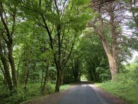 7. Reisetag – Besuch der Kylemore Abbey – Weg zum Walled Garden &ndash; &copy; Andreas Wolfsteller (Eberhardt TRAVEL)