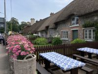 11. Reisetag – Von der West- an die Ostküste – Cottages in Adare &ndash; &copy; Andreas Wolfsteller (Eberhardt TRAVEL)