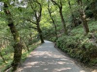 12. Reisetag – Ein Tag in den Wicklow Mountains – Wanderung in Glendalough &ndash; &copy; Andreas Wolfsteller (Eberhardt TRAVEL)