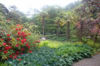 Glenveagh Gardens &ndash; &copy; Michael Krause (Eberhardt TRAVEL)