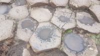 Giant s Causeway &ndash; &copy; Constanze Maißel (Eberhardt TRAVEL)