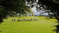 Carrowmore &ndash; &copy; Constanze Maißel (Eberhardt TRAVEL)