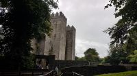 Bunratty Castle &ndash; &copy; Constanze Maißel (Eberhardt TRAVEL)