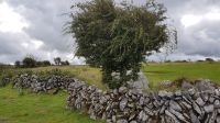 Burren &ndash; &copy; Constanze Maißel (Eberhardt TRAVEL)