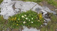 Burren &ndash; &copy; Constanze Maißel (Eberhardt TRAVEL)
