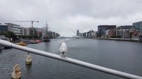 Dublin &ndash; &copy; Constanze Maißel (Eberhardt TRAVEL)