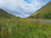 Barnesmore Gap &ndash; &copy; Sinah Witzig (Eberhardt TRAVEL)