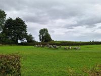 Carrowmore &ndash; &copy; Sinah Witzig (Eberhardt TRAVEL)
