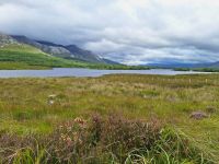 Connemara &ndash; &copy; Sinah Witzig (Eberhardt TRAVEL)