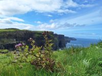 Cliffs of Moher &ndash; &copy; Sinah Witzig (Eberhardt TRAVEL)