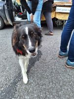 Toby  &ndash; &copy; Sinah Witzig (Eberhardt TRAVEL)