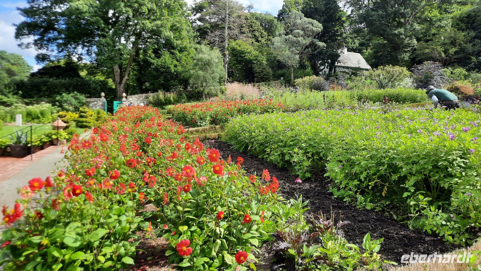 Glenveigh_Gardens. &ndash; &copy; Walter Neuwirth (Eberhardt TRAVEL)