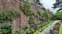 Kylemore_Gardens &ndash; &copy; Walter Neuwirth (Eberhardt TRAVEL)
