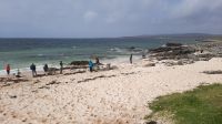 Coral_Beach &ndash; &copy; Walter Neuwirth (Eberhardt TRAVEL)