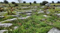 The Burren &ndash; &copy; Walter Neuwirth (Eberhardt TRAVEL)