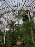 Belfast: Botanischer Garten &ndash; &copy; Sinah Witzig (Eberhardt TRAVEL)