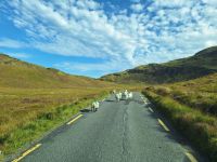 Derryveagh Mountains &ndash; &copy; Sinah Witzig (Eberhardt TRAVEL)