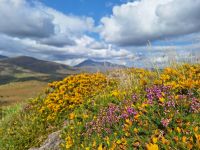 Molls Gap &ndash; &copy; Sinah Witzig (Eberhardt TRAVEL)