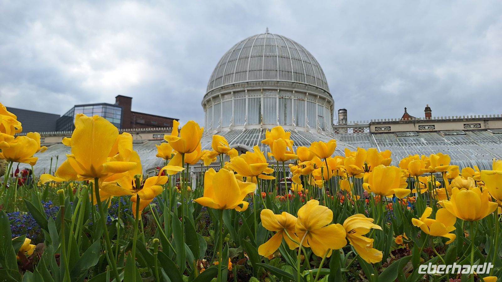 Belfast: Botanischer Garten &ndash; &copy; Sinah Witzig (Eberhardt TRAVEL)