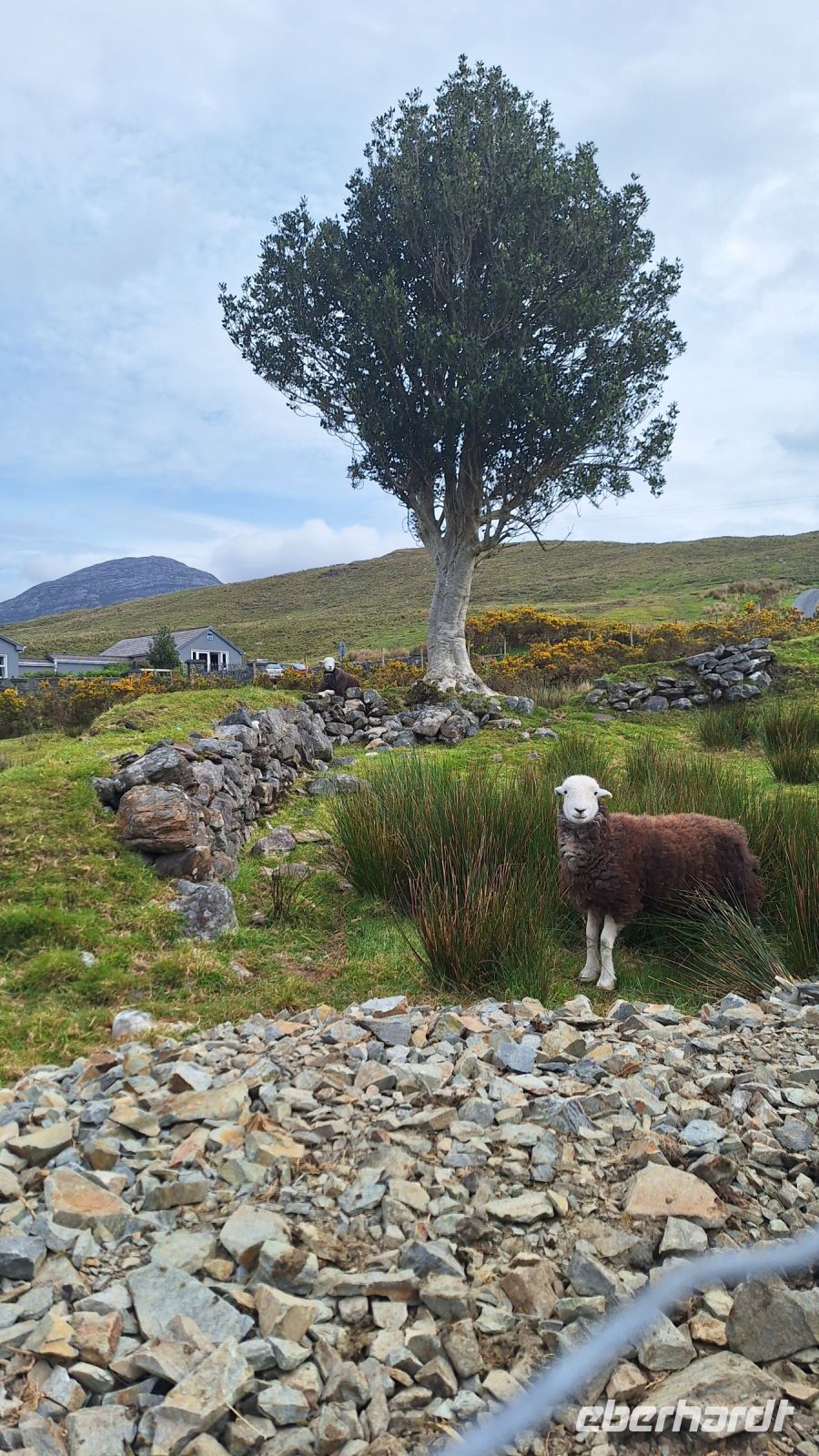 Inagh Valley &ndash; &copy; Sinah Witzig (Eberhardt TRAVEL)