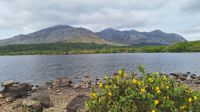 Lough Inagh &ndash; &copy; Sinah Witzig (Eberhardt TRAVEL)